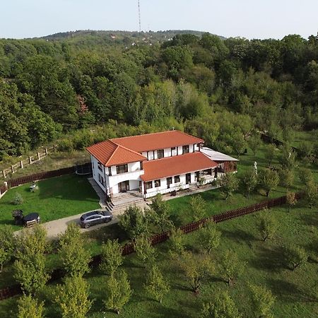 Pensiunea Emelys, Iasi Barnova Εξωτερικό φωτογραφία