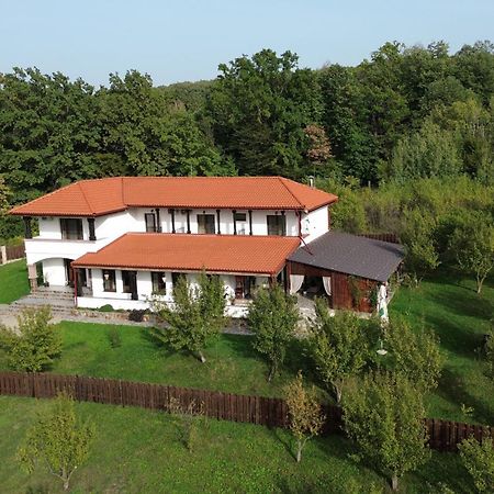 Pensiunea Emelys, Iasi Barnova Εξωτερικό φωτογραφία