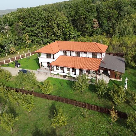 Pensiunea Emelys, Iasi Barnova Εξωτερικό φωτογραφία