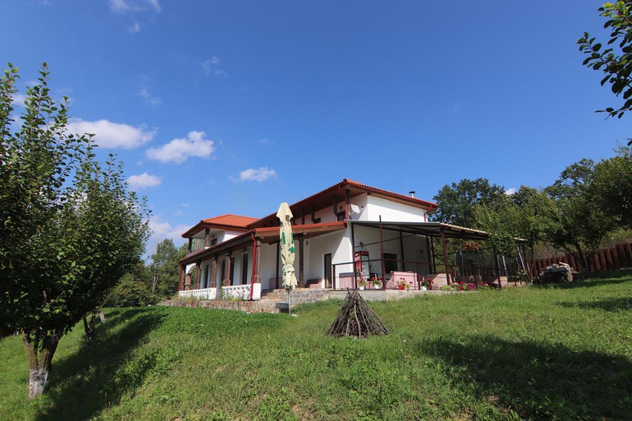 Pensiunea Emelys, Iasi Barnova Εξωτερικό φωτογραφία