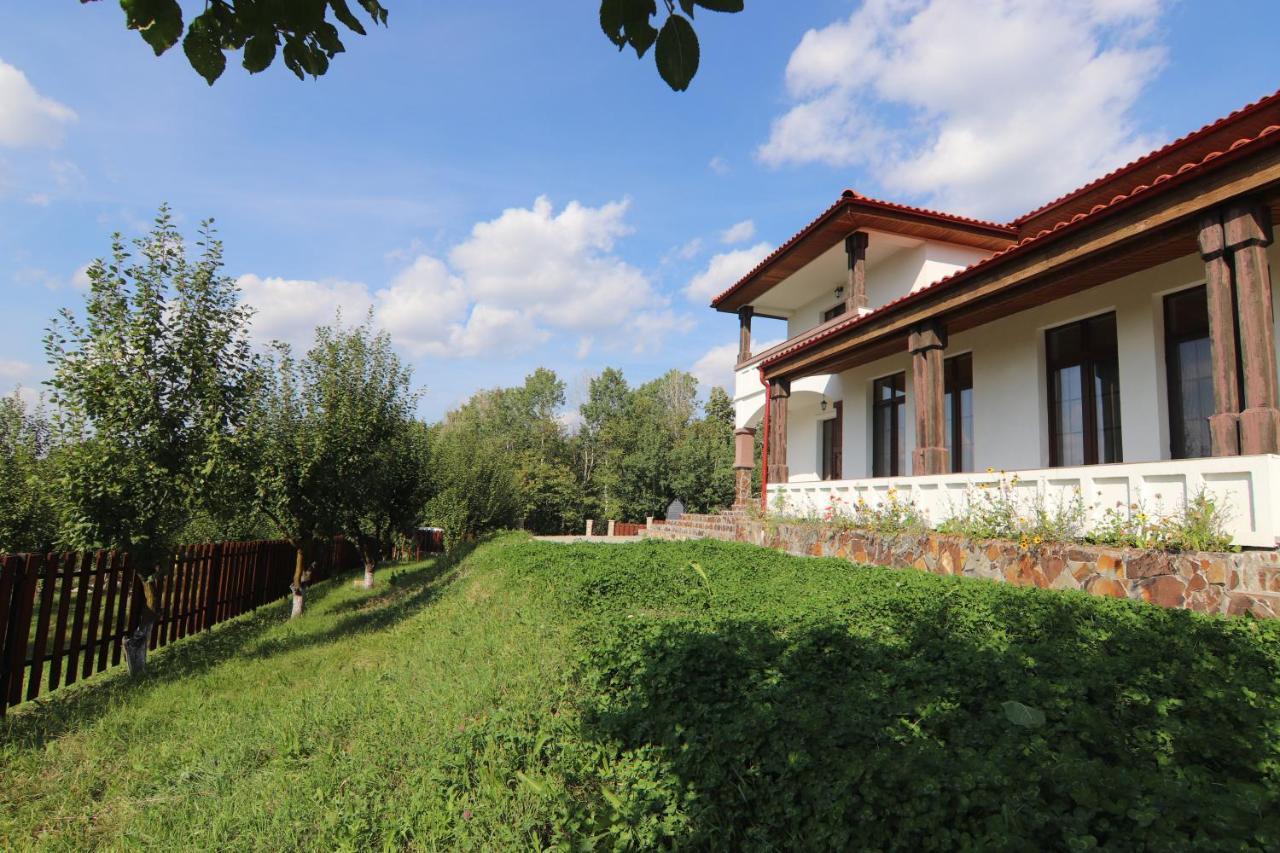 Pensiunea Emelys, Iasi Barnova Εξωτερικό φωτογραφία