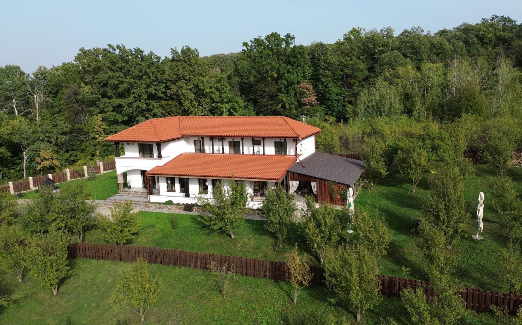 Pensiunea Emelys, Iasi Barnova Εξωτερικό φωτογραφία