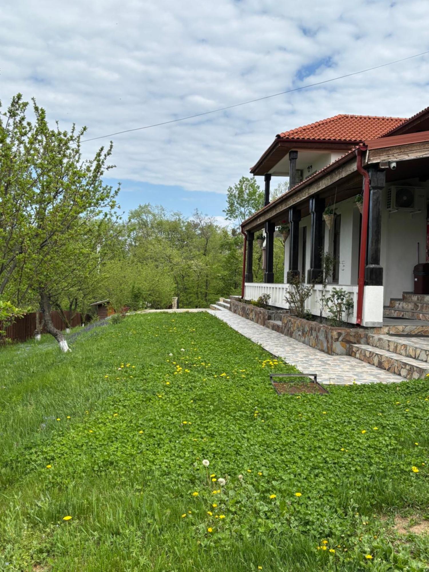 Pensiunea Emelys, Iasi Barnova Εξωτερικό φωτογραφία