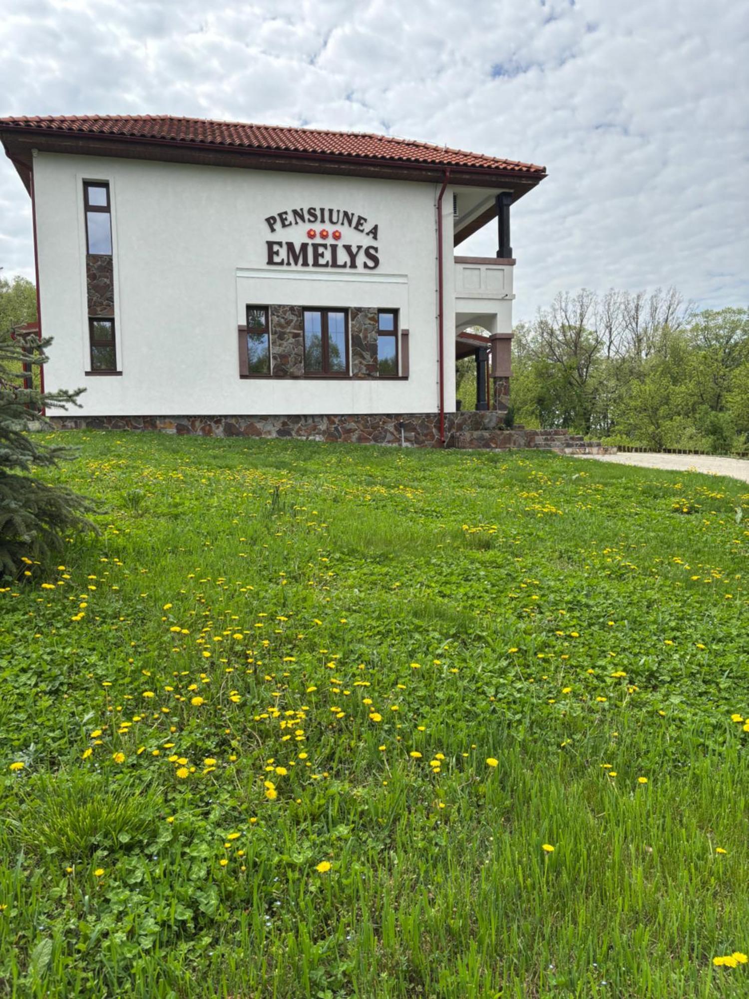 Pensiunea Emelys, Iasi Barnova Εξωτερικό φωτογραφία